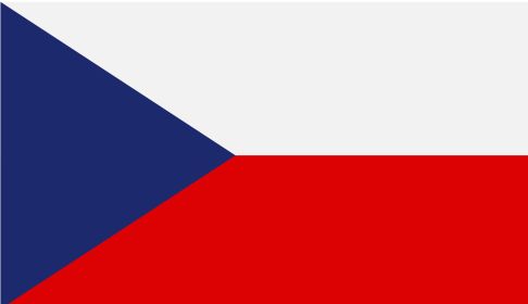 перевод документов с чешского на русский