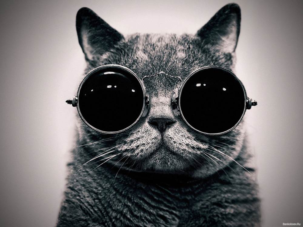CAT- инструментарий переводчика CAT- инструментарий переводчика